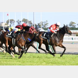 前走は不利がありながら勝ち馬に首座まで迫った