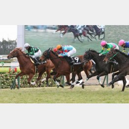 木津川特別は首差