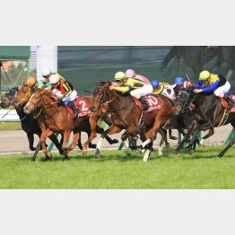 ラッキーの相手はフィリーズR①③着馬