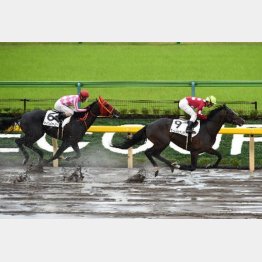 勝った時の時計、内容は優秀だ