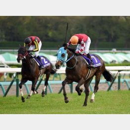 一昨年のこのレースから快進撃