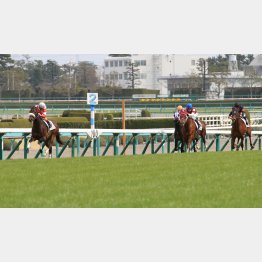 前走は5馬身差の圧勝