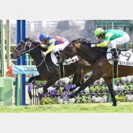 好位抜け出しで新馬V