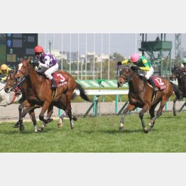 15年阪神スプリングJ以来のVを