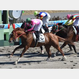 前走勝ちは余力十分