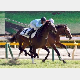 上がり最速で新馬勝ち