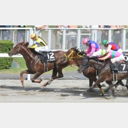 休み明けで大倉山特別を勝利