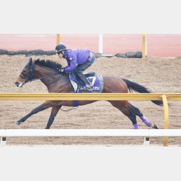 今週のCウッドは馬なりで1F12秒8