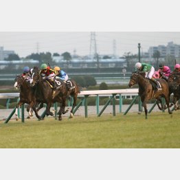 サンタクロースSではダンビュライトと僅差の競馬(右)