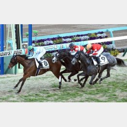 連勝を狙うカルヴァリオ
