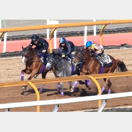 3頭併せで直線はインへ