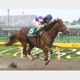 東京マイルでユニコーンS勝ち