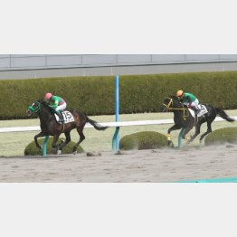 五百万は3馬身半差V