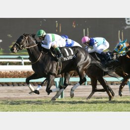 千葉日報杯以来、1年ぶりの勝利を目指す