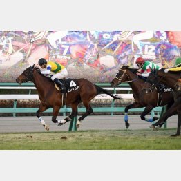 前走は順当勝ち