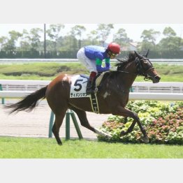 福永で初勝利