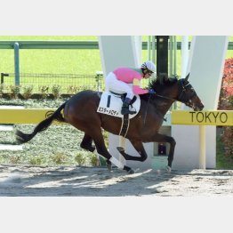 デビュー戦はレコードV