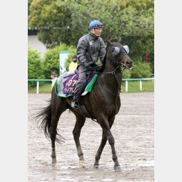 血統から初の7F戦はプラス