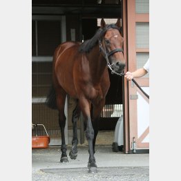 8歳でも衰え知らず