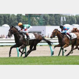 新馬戦を快勝