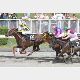 大倉山特別は首差②着