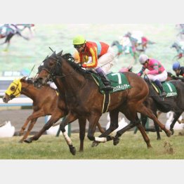 狙うは昨年のシルクロードS以来の先頭ゴール