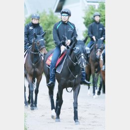 陣営も状態に太鼓判