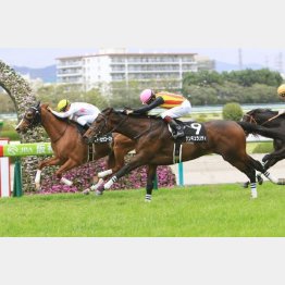 前走は上がり最速で首差②着