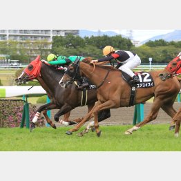 ユアスイスイは昇級戦の前走も②着