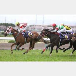 前年の桜花賞でワンツーを決めた2頭