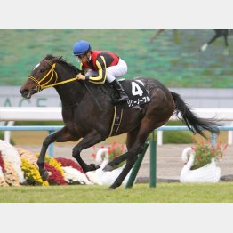 白菊賞以来のVを大舞台で