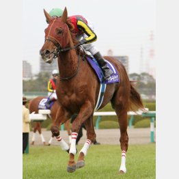 阪神JFに続くGⅠを
