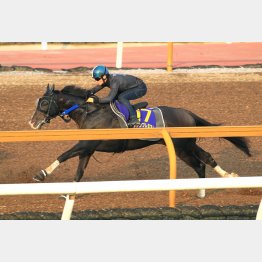 動きは文句なし