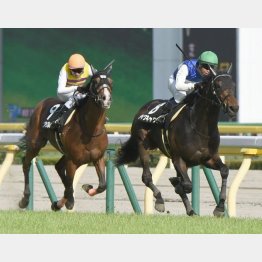 プリンシパルSをレコード勝ち