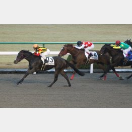 2走前に現オープンのマテラスカイを負かしている