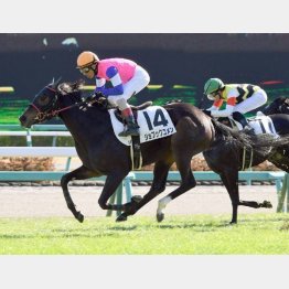 昨暮れに中山で未勝利勝ち