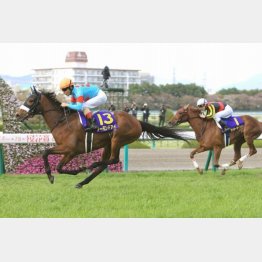 桜花賞②着から逆転を狙う