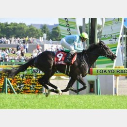 青葉賞は2馬身差V