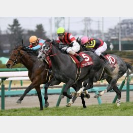 中山記念は首、頭差③着