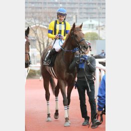 走るごとに成績も上昇