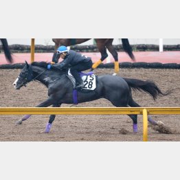 今週はCウッドで1F11秒9