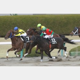昨暮れに準オープン勝ち