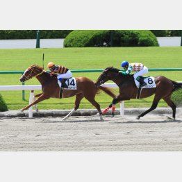 前走は勝ち時計も優秀
