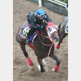 最終追い切りは岩田を背に51秒7