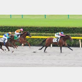 横山典で同舞台Vの実績あるフクノグリュック