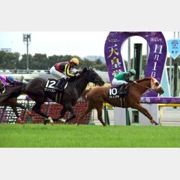 国立特別は首差②着