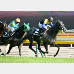 長欠明けの府中Sを快勝