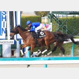 鳴門特別で現級勝ち