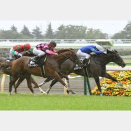 休み明けのテレ玉杯を差し切り
