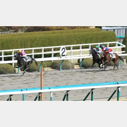 五百万では②着に1秒差をつけた